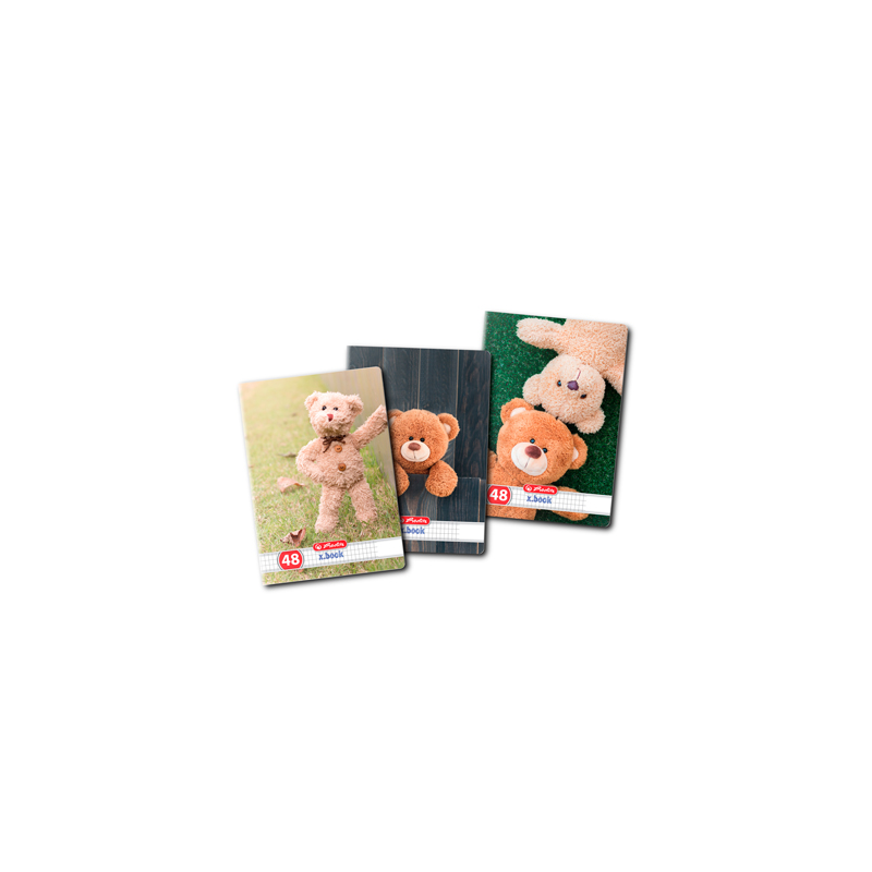 Caiet A5 48 File Patratele Teddy