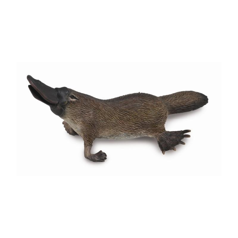 Ornitorinc Platypus M - Animal figurina