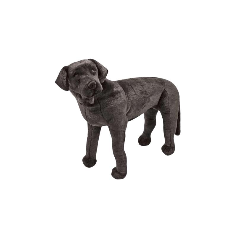 Catel Labrador Negru gigant din plus