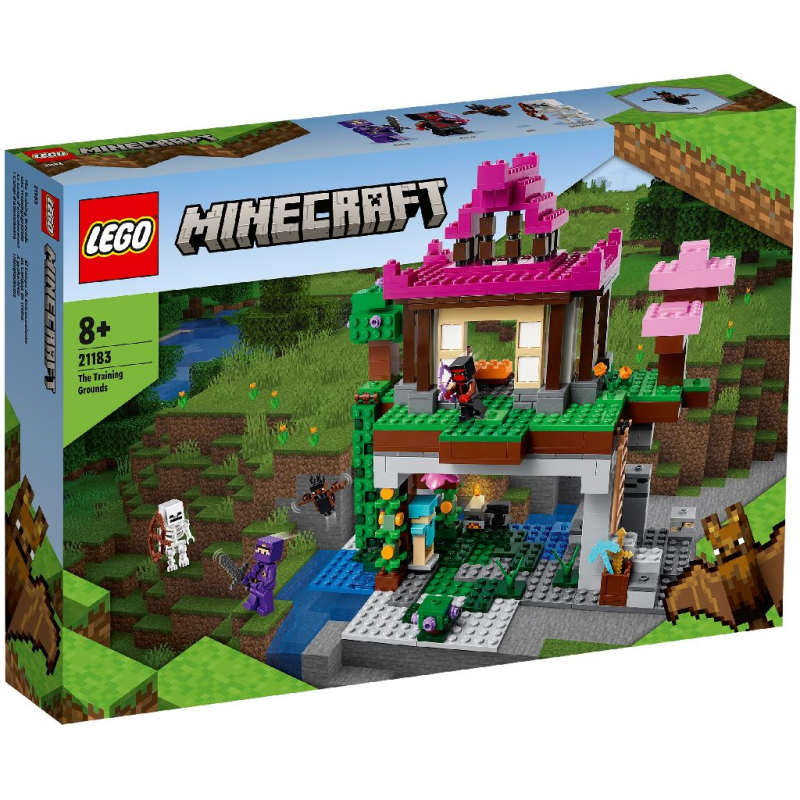 pe terenul de joaca sunt 18 copii LEGO Minecraft - Terenul de Antrenament 21183