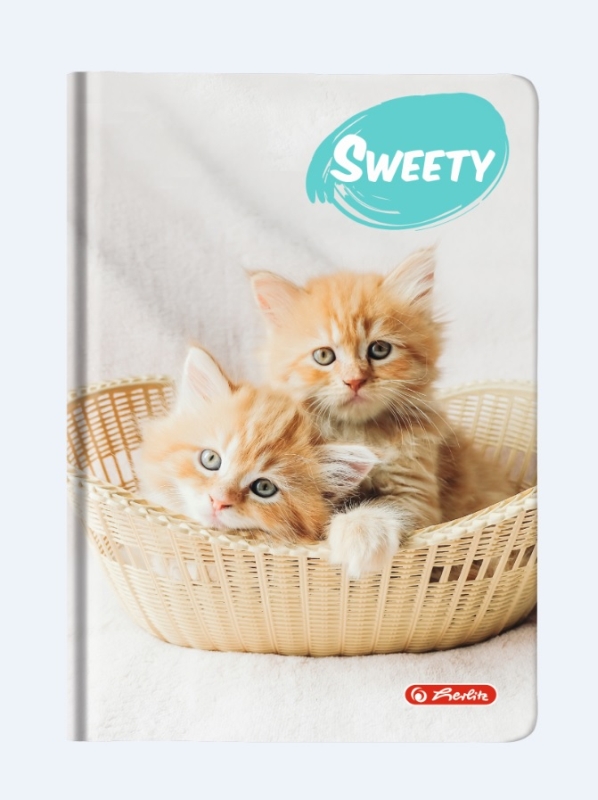 Agenda A6 Nedatata Sweety 352 File Motiv Kittens