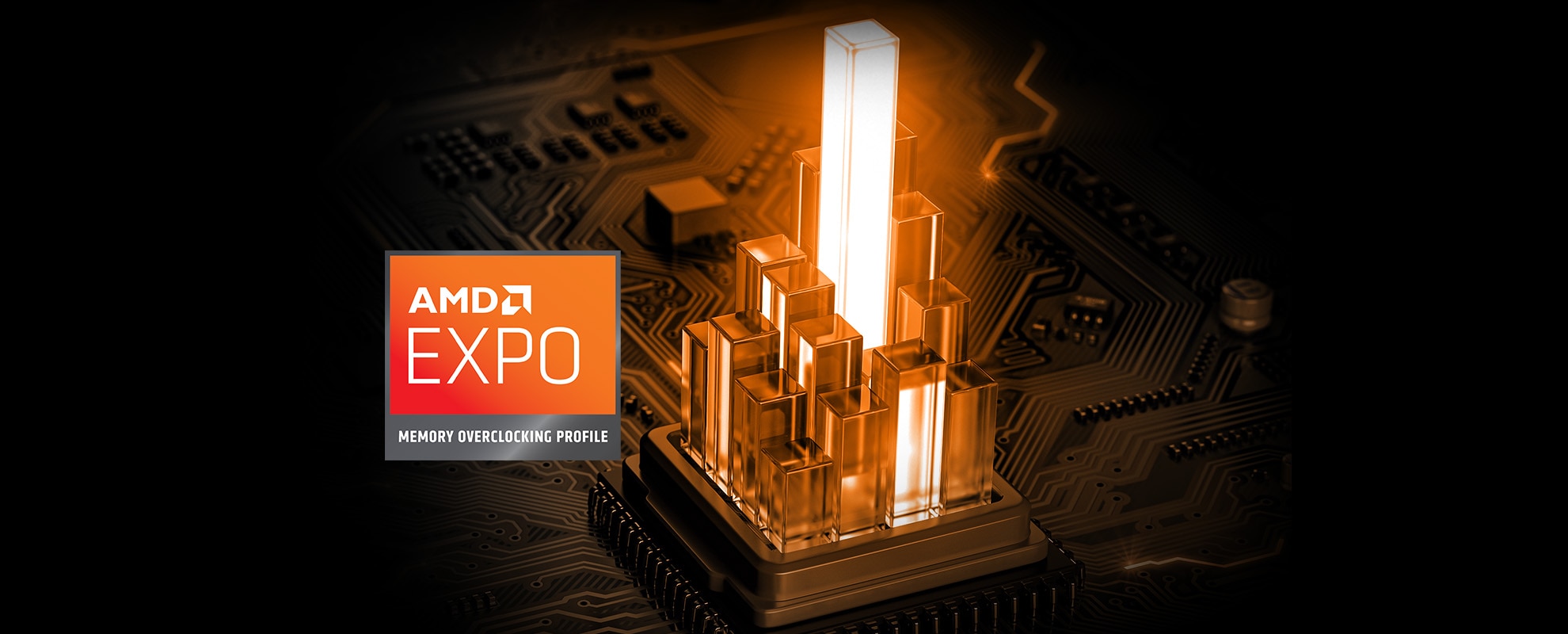 AMD EXPO