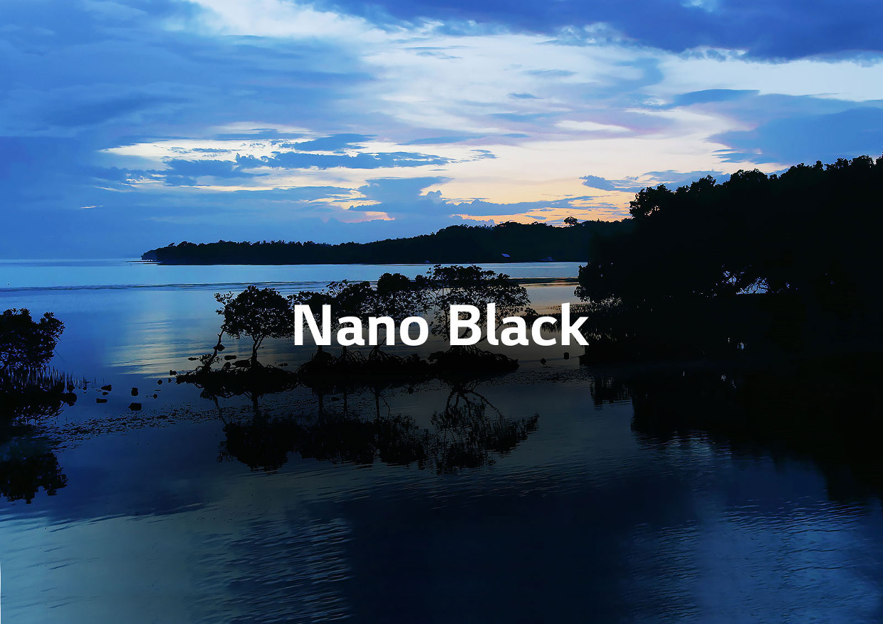 Nano black