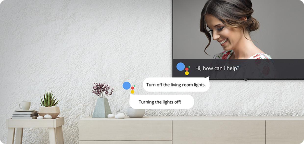 Integrare Google Home